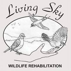 Living Sky Wildlife Rehabilitation